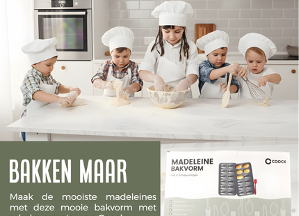 Madeleine Bakvorm met 12 Schelpvormpjes