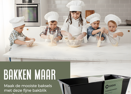 Cakeblik met Antiaanbaklaag - Cakevorm - Incl. Deegschraper & E-Book