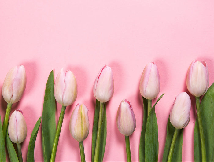 Voel de eerste zonnestalen met onze deals